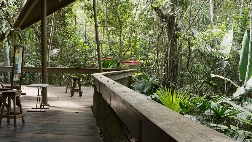 rainforest discovery center, pipeline road, gamboa, panama