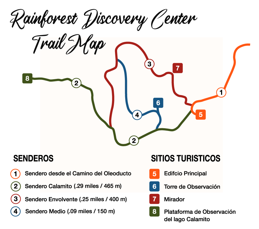 rainforest discovery center camino del oleoducto gamboa panamá