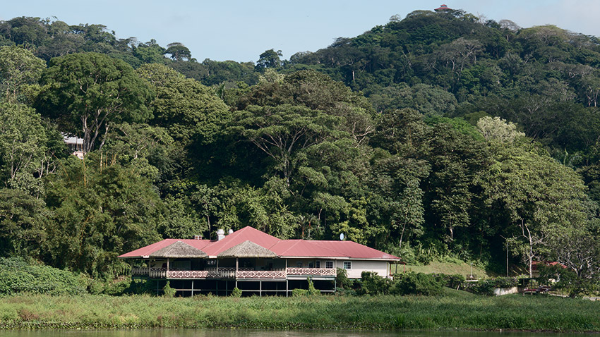 tour dell'isola delle scimmie lago di gatun canale di panama