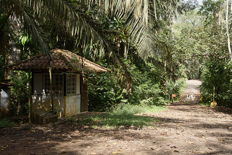 rainforest discovery center, pipeline road, gamboa, panama