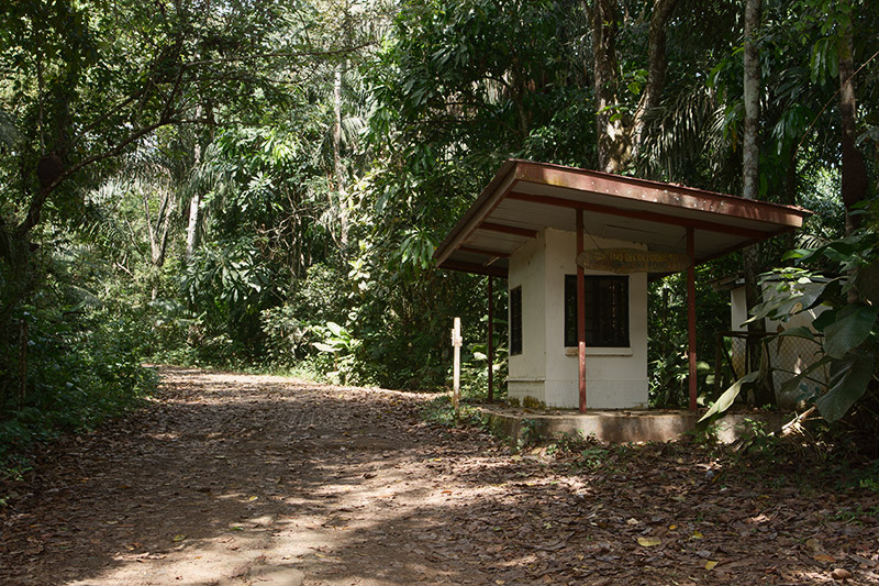 rainforest discovery center, pipeline road, gamboa, panama